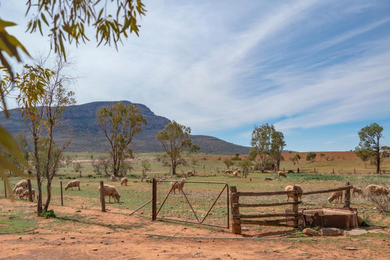 Готель Rawnsley Park Station Flinders Ranges Екстер'єр фото